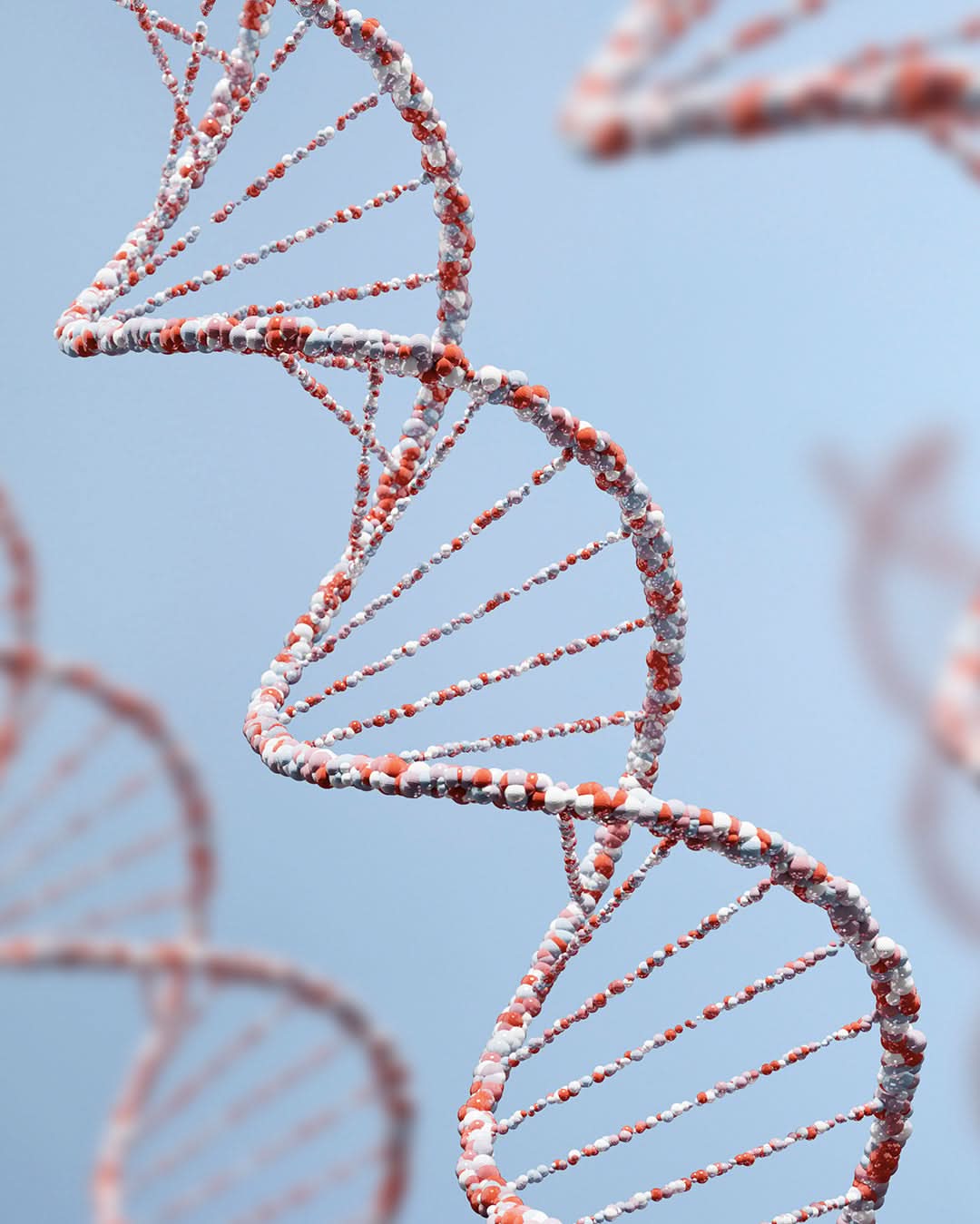 11-Genetest